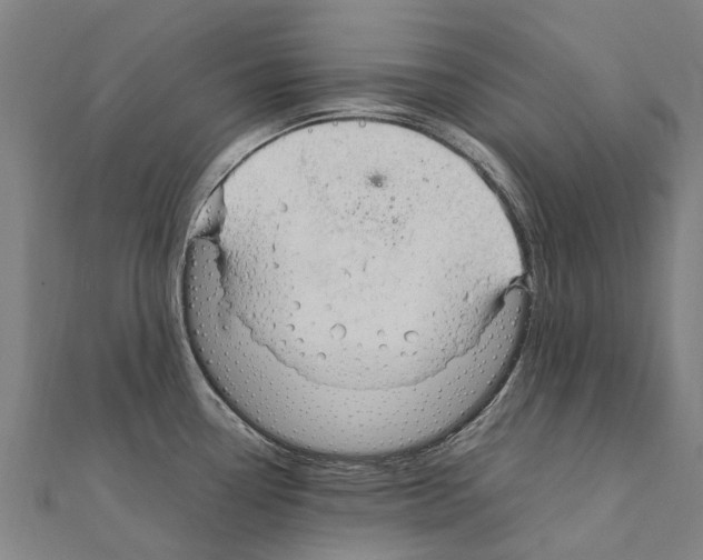 X0000111211338200908121124