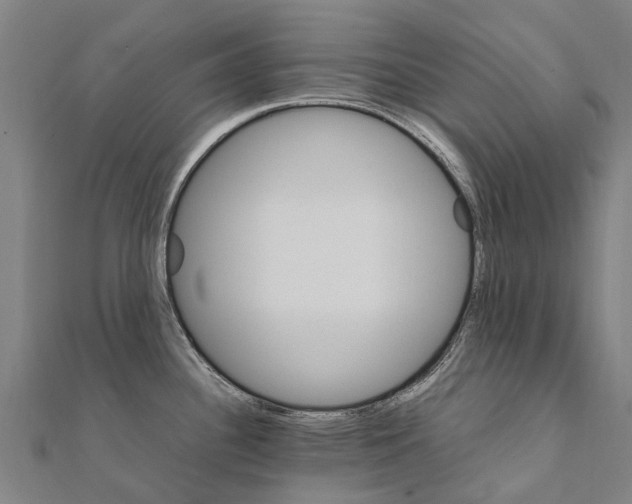 X0000111211340200908121124