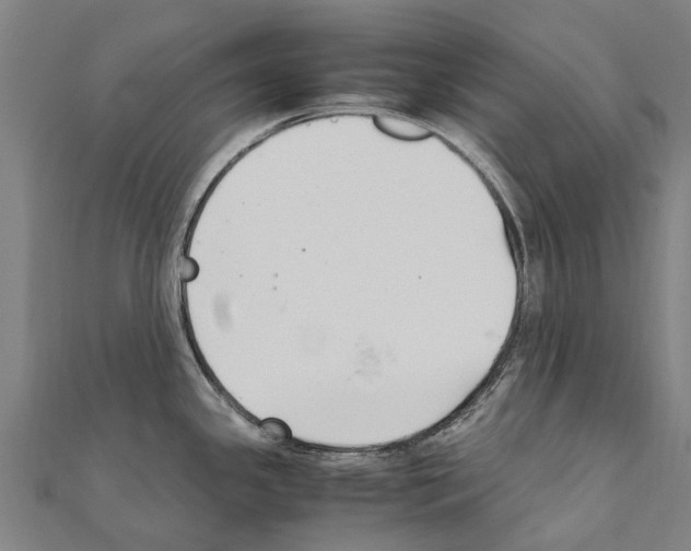 X0000111211341200908121124