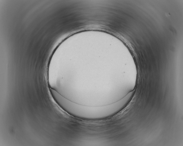 X0000111211342200908121124