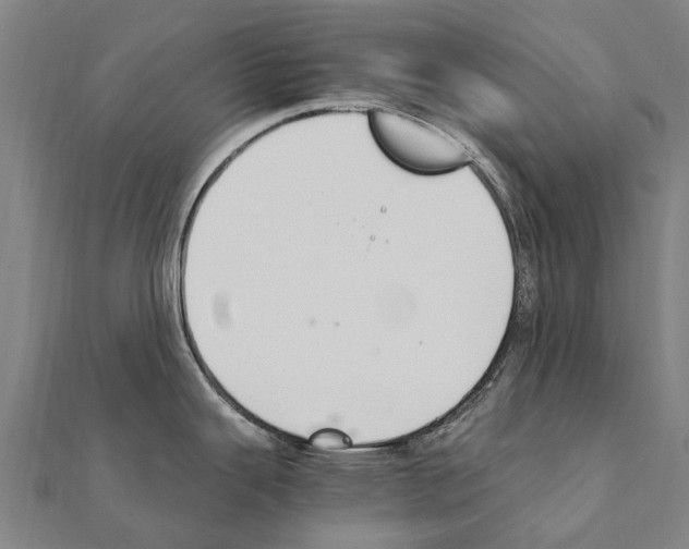 X0000111211343200908121124