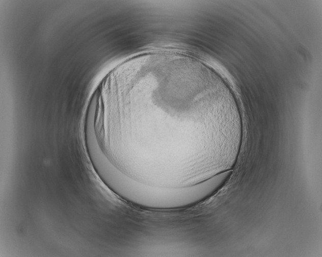 X0000111211344200908121124