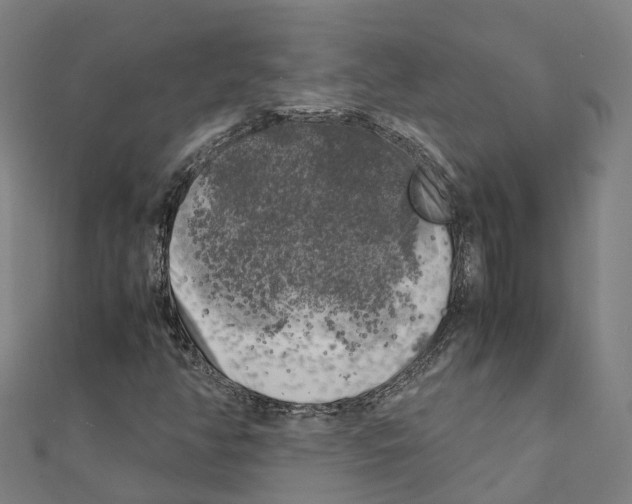 X0000111211350200908121123