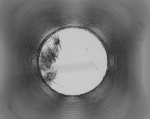 X0000111211356200908121123