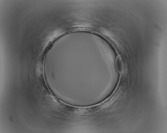 X0000111211357200908121123