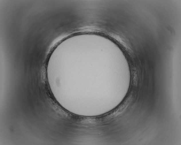 X0000111211358200908121123