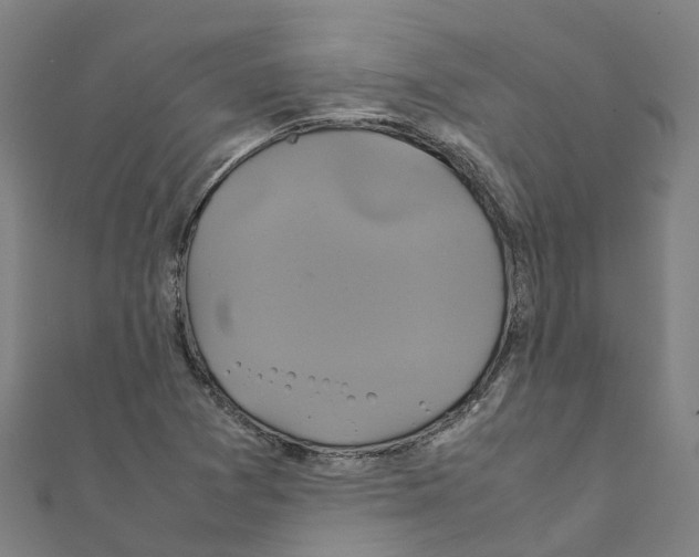 X0000111211361200908121123