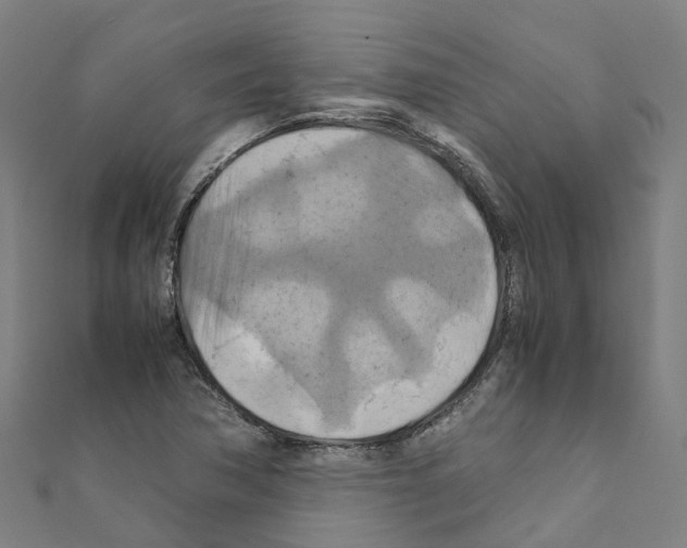 X0000111211362200908121123