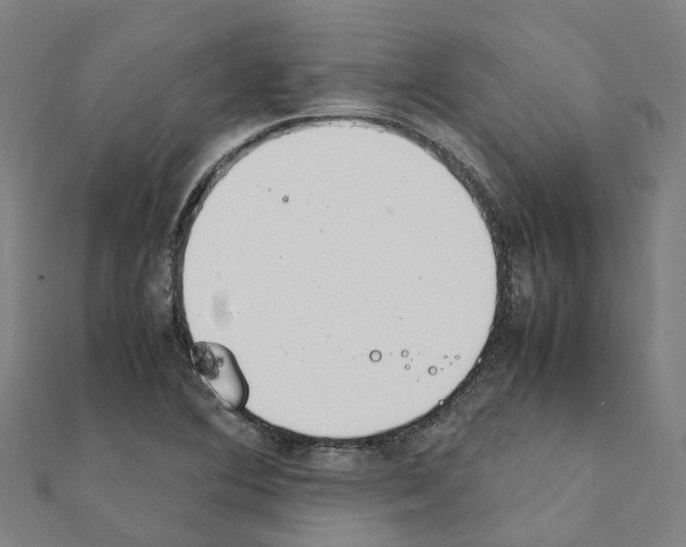 X0000111211364200908121123