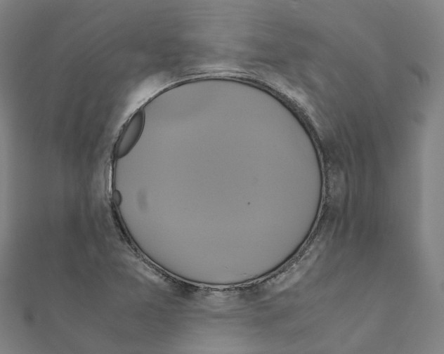 X0000111211365200908121123