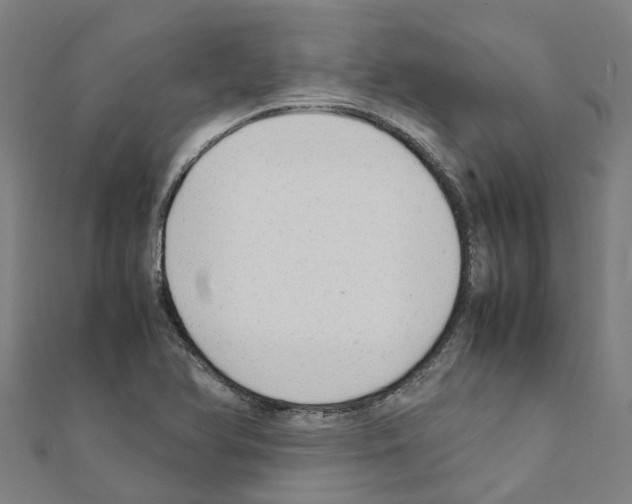 X0000111211366200908121123