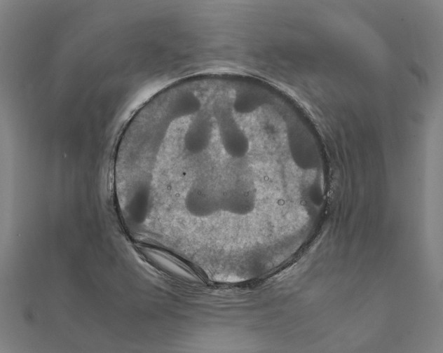 X0000111211367200908121123