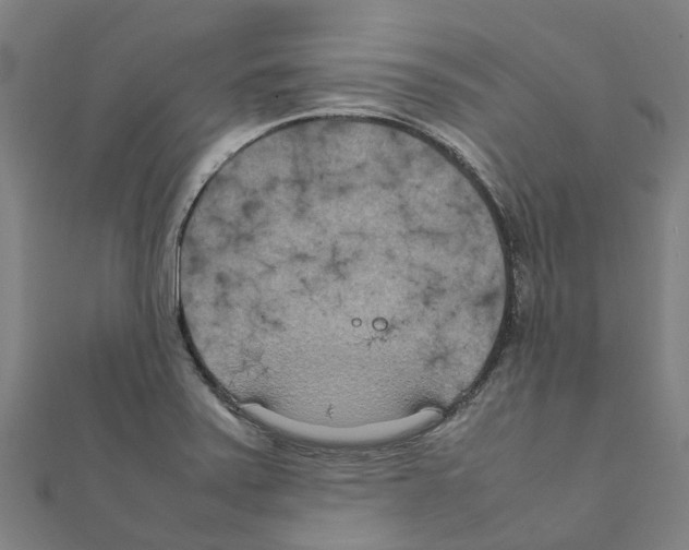 X0000111211371200908121123