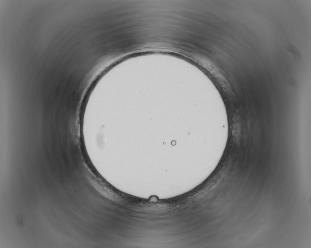 X0000111211372200908121123