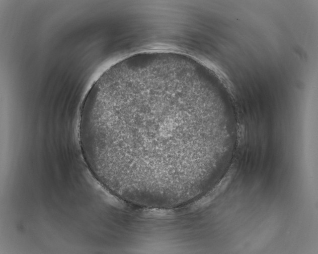 X0000111211374200908121123