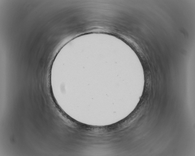 X0000111211375200908121123