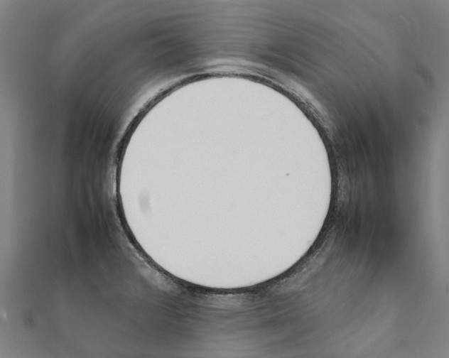 X0000111211376200908121123