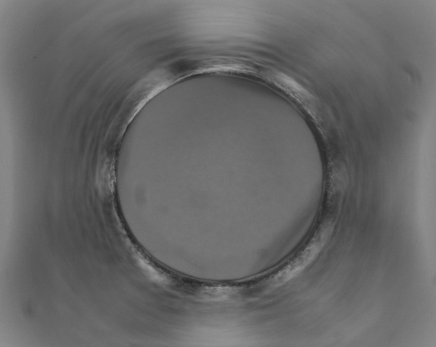 X0000111211377200908121123