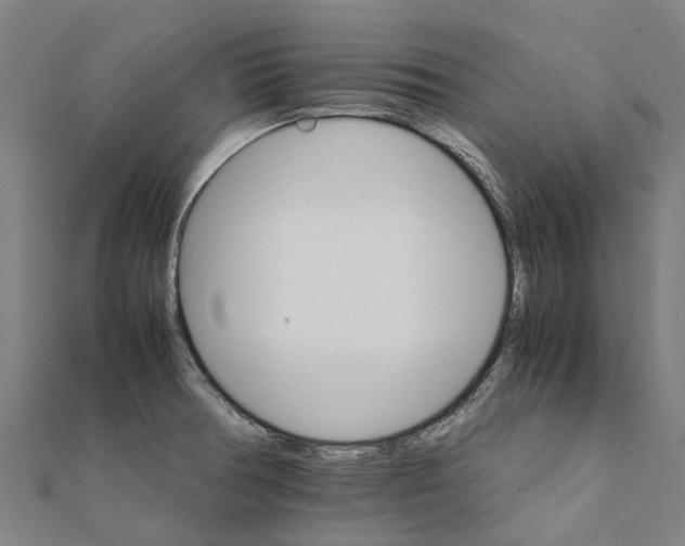 X0000111211378200908121123