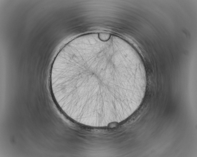 X0000111211379200908121123