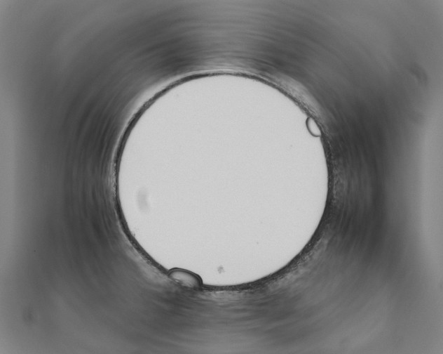 X0000111211380200908121123