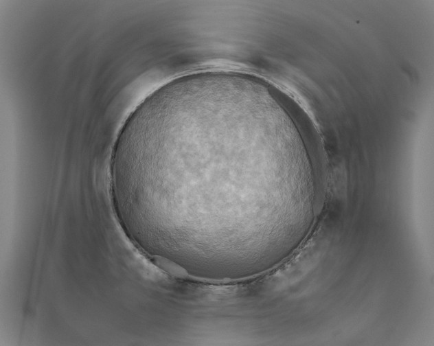 X0000111211381200908121123