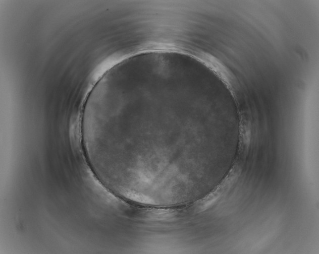 X0000111211382200908121123