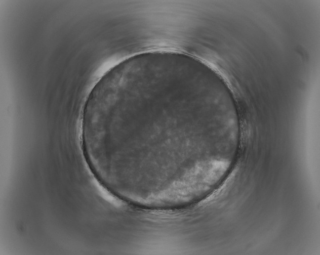 X0000111211383200908121123