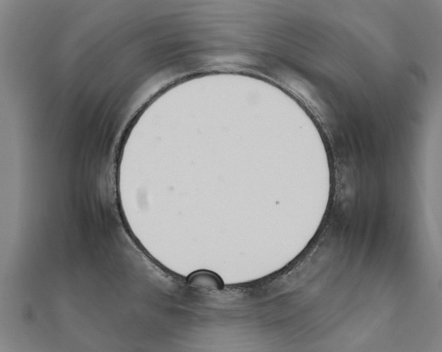 X0000111211384200908121123