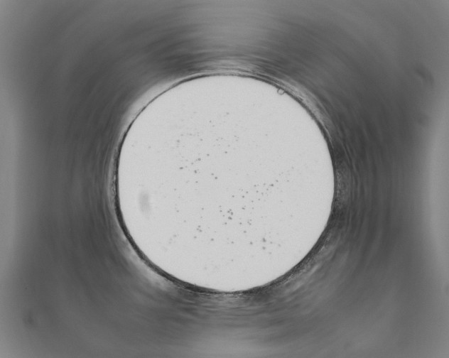 X0000111211387200908121123