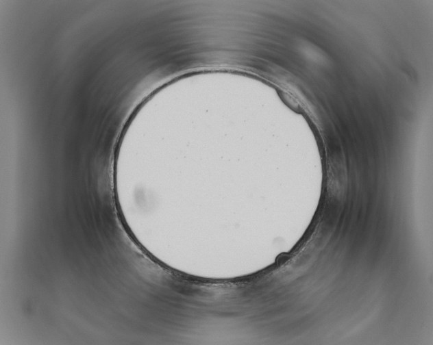 X0000111211388200908121123