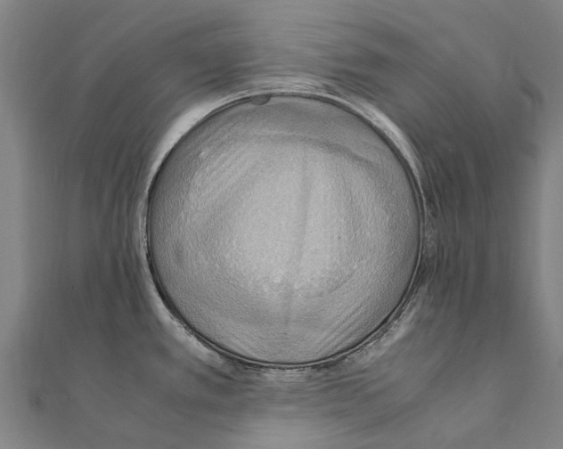 X0000111211389200908121123