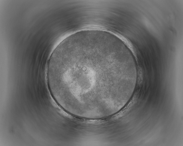 X0000111211390200908121123