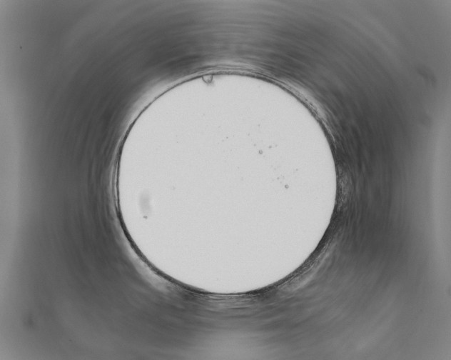 X0000111211391200908121123