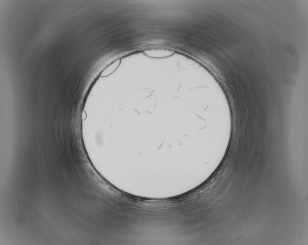 X0000111211392200908121123