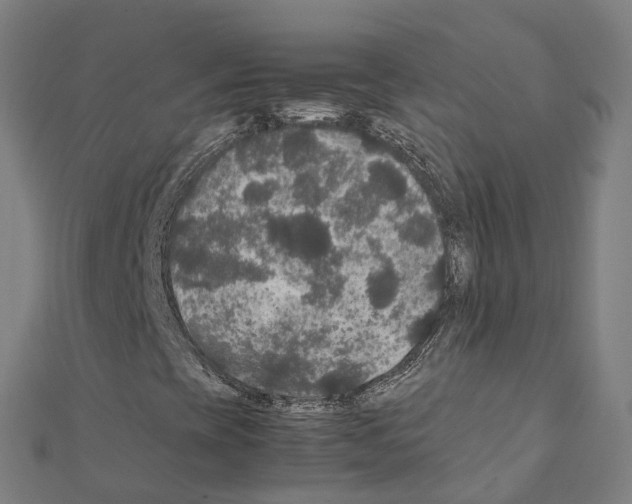 X0000111211393200908121122