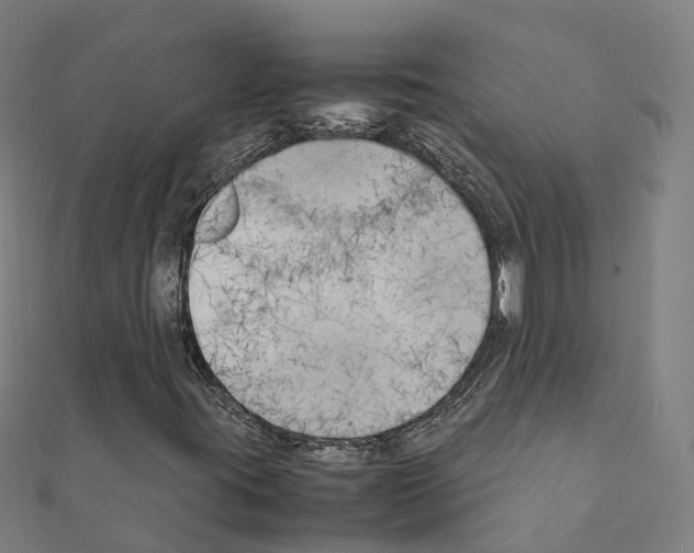 X0000111211395200908121122