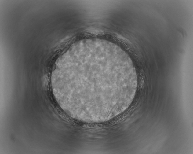 X0000111211397200908121122