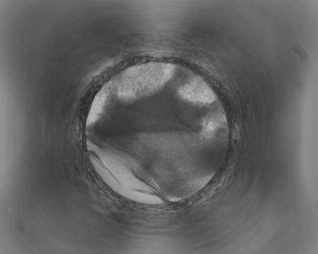 X0000111211398200908121122