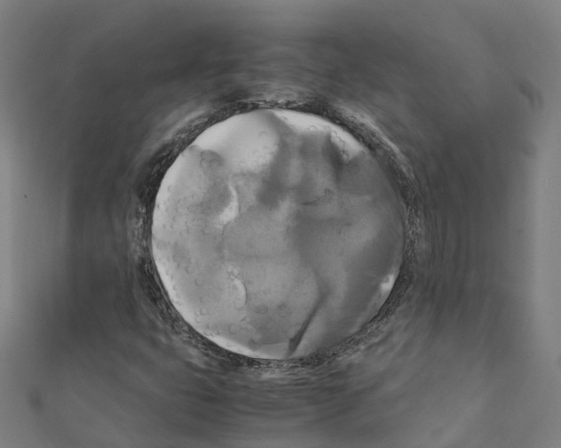 X0000111211399200908121122