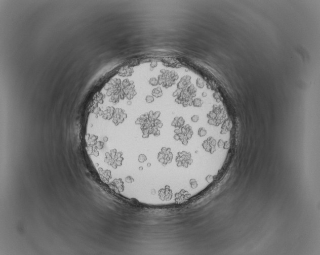 X0000111211402200908121122