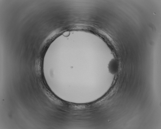 X0000111211403200908121122