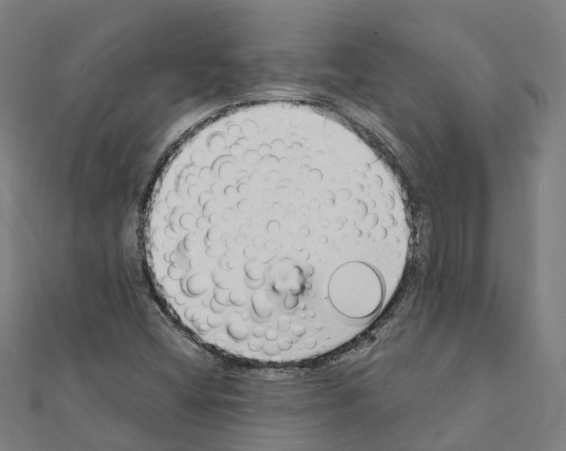 X0000111211404200908121122