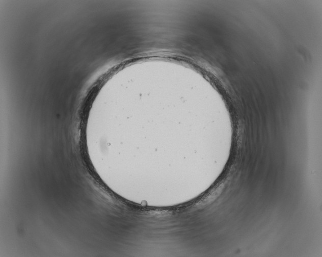 X0000111211406200908121122