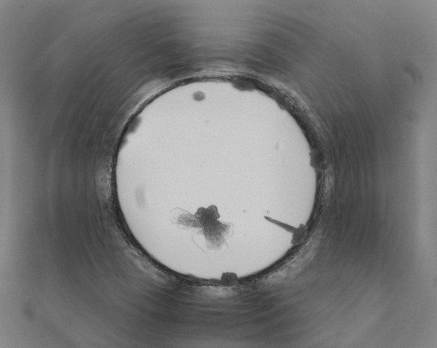 X0000111211409200908121122