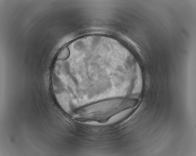 X0000111211411200908121122