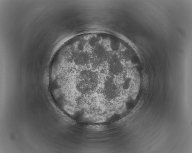 X0000111211415200908121122