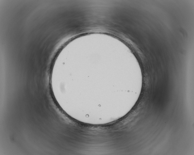 X0000111211416200908121122