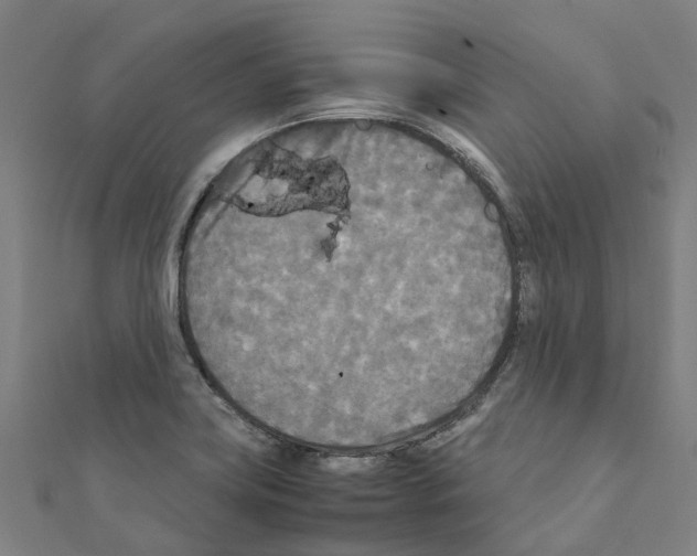 X0000111211419200908121122