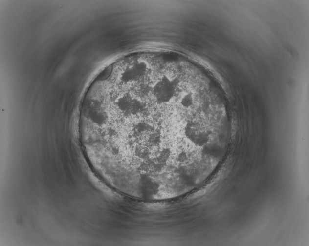 X0000111211421200908121122